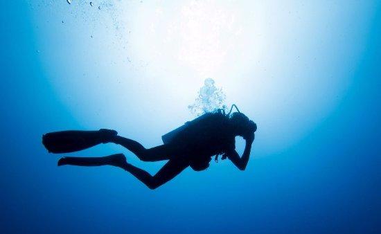 Let's Dive Palawan