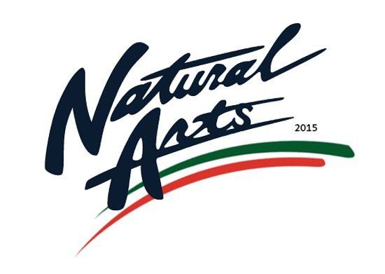 Natural Arts Travel and Tours