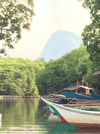 Mystic Mangrove Adventure