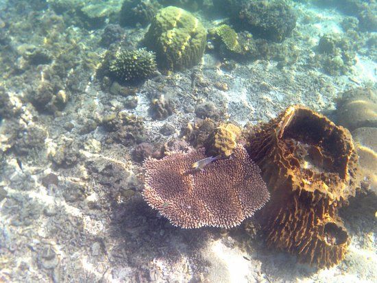 Small Lagoon Reef